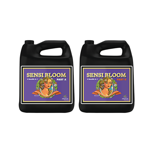 Advanced Nutrients Sensi Bloom A+B - hydroponics