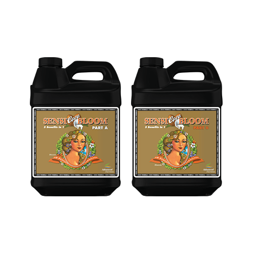 Advanced Nutrients Sensi Bloom Coco A&B - hydroponics