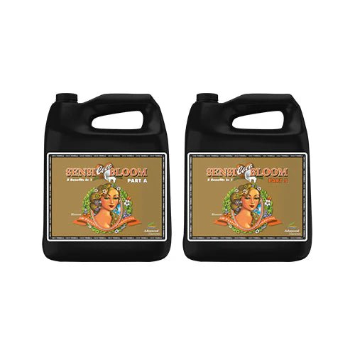 Advanced Nutrients Sensi Bloom Coco A&B - hydroponics