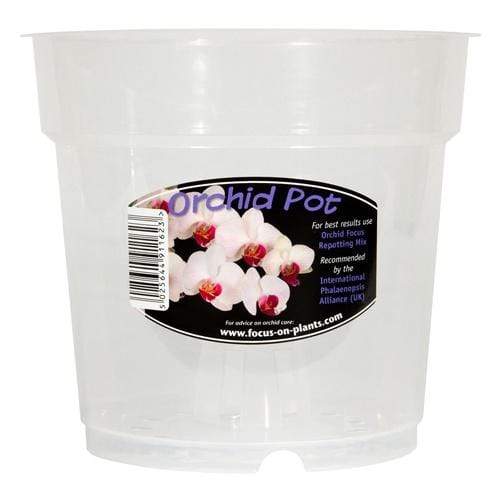 Clear Plastic Pots - hydroponics