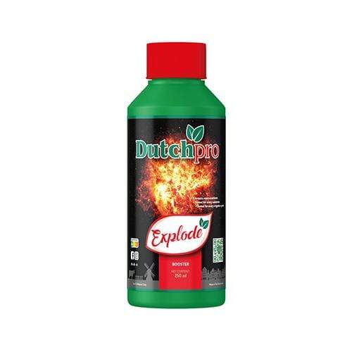 Dutch Pro Explode - hydroponics