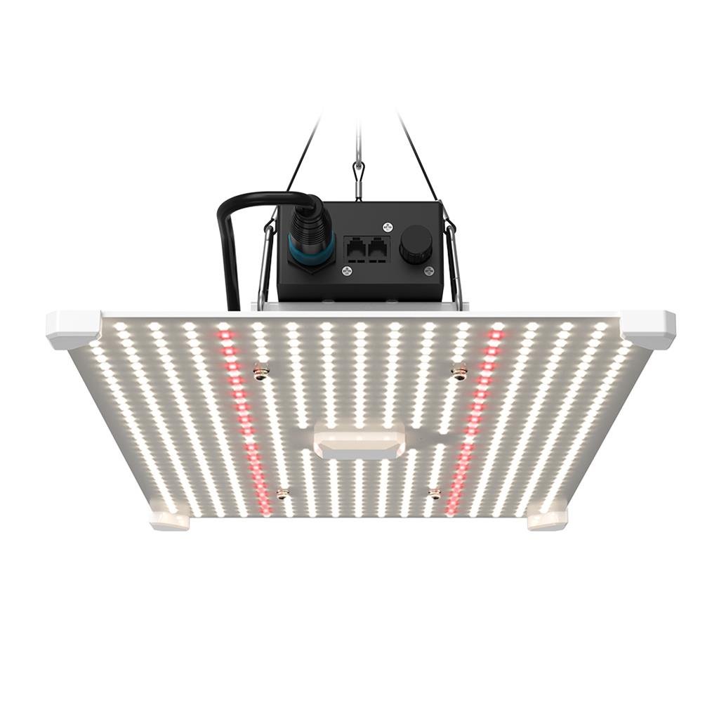 LUMii BLACK Blade LED - hydroponics