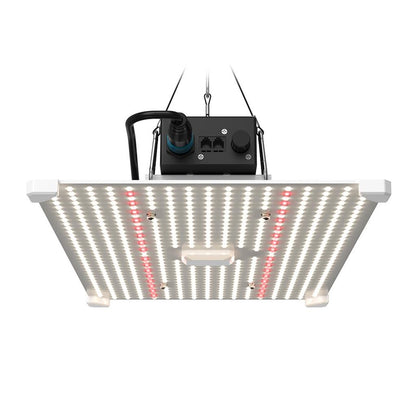 LUMii BLACK Blade LED - hydroponics